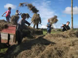Haymaking at the felin Uchaf Community farm project, gwynedd, North wales