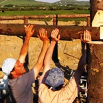 pole timber framing on the earthhouse