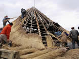 volunteers thatching the earthhouse at Menter Y Felin Uchaf, Aberdaron, North West Wales
