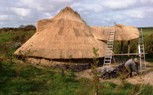 The third Celtic Roundhouse roof begins to take shape at the Felin Uchaf Centre