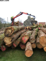 oak trees arive at the Felin Uchaf Centre for the new Cruck Barn workspace 