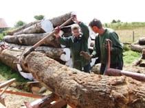 Trainees on the sawmill planking oak for the new barn